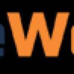 wise web pros