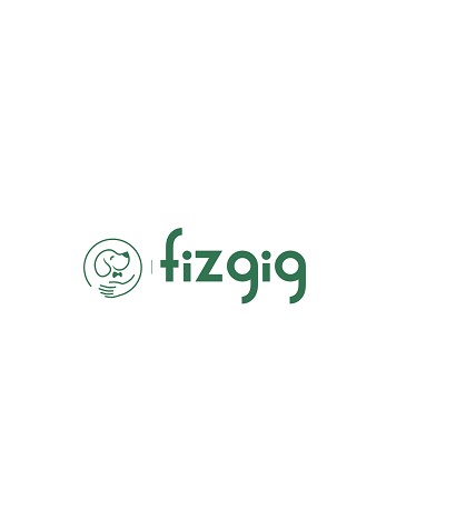 Fizgig App App