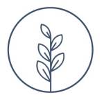 Mitchell Holistic Health