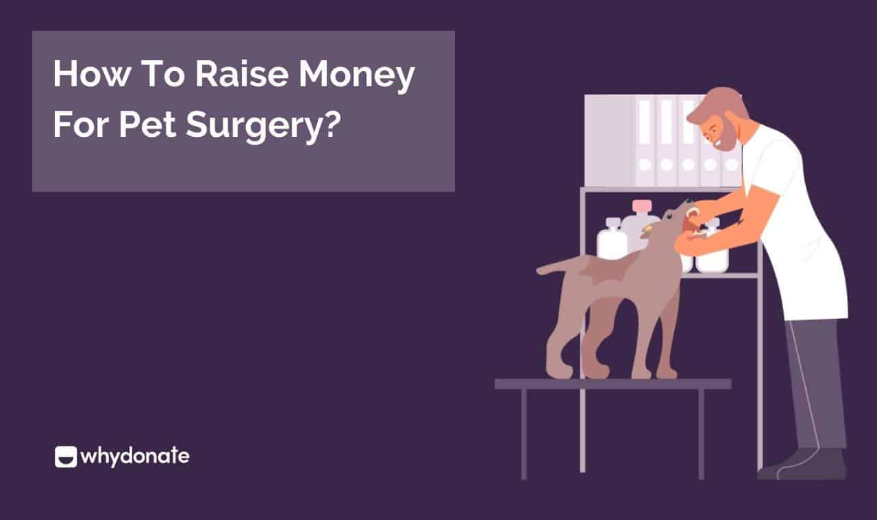 Top 7 Ideas To Raise Money For Pet Surgery | WhyDonate