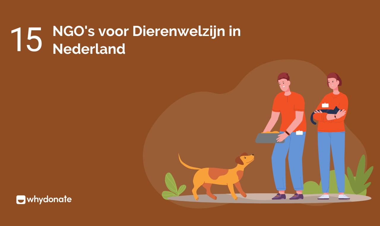 Top 15 Dieren Goede Doelen: Beste Charities Voor Donaties