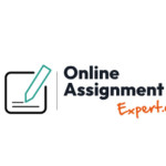 Online Assignment Expert