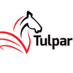 Tulpar Global Taxation
