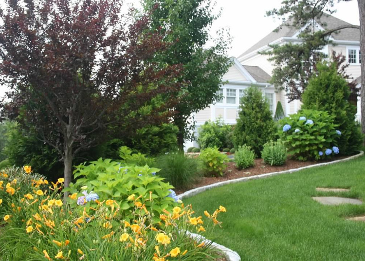Professional Landscape Maintenance Services | Foster Creative Design