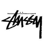 Stussybasic Hoodie