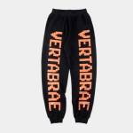 Vertabrae Vertabrae