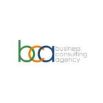 Business Consulting Agency