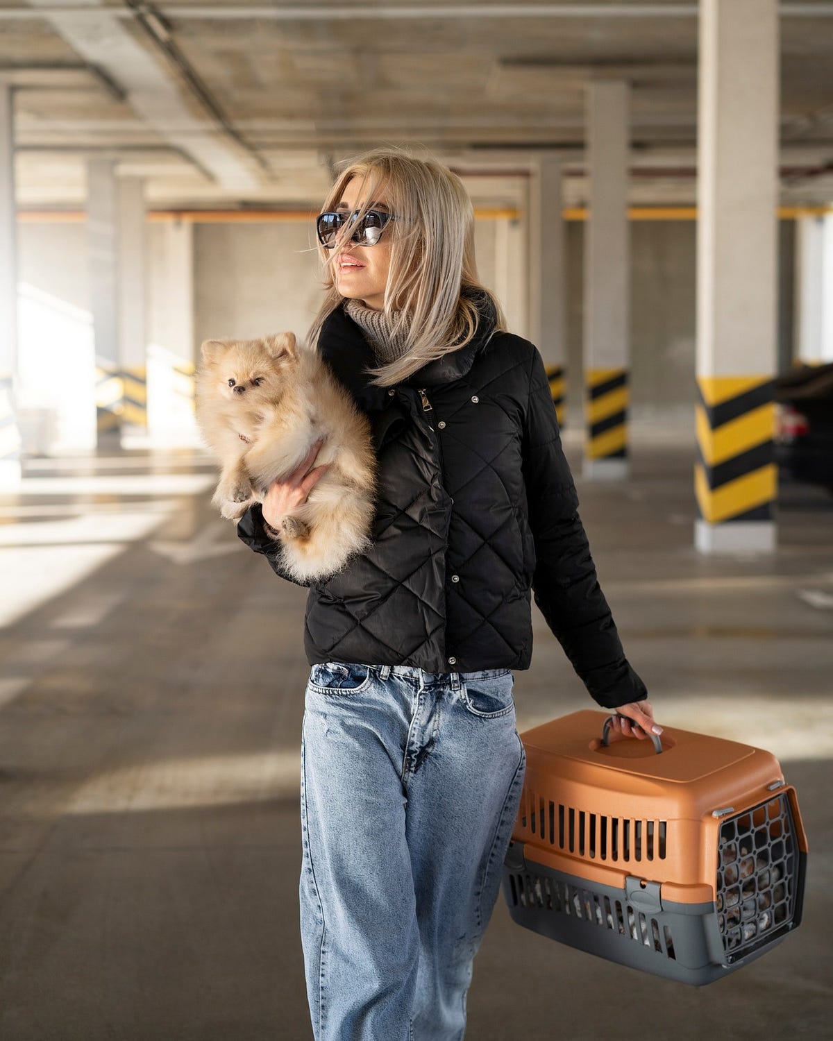 What to Expect When Staying at a Pet-Friendly Hotel: A First-Timer’s Experience | by Romingo | May, 2025 | Medium