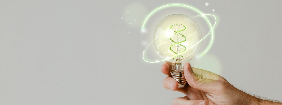 Retailers vs Distributors: Learn the Key Difference