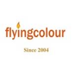 Flyingcolour business setup