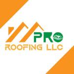 Pro Roof LLC