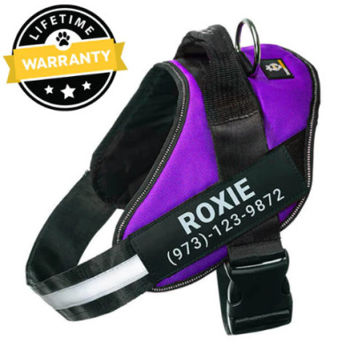 Lifetime Warranty Personalized NO PULL Harness Profile Picture