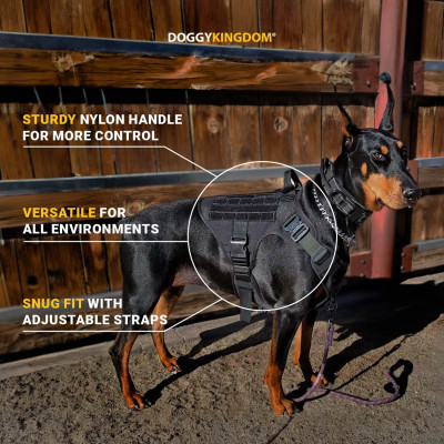 Tactical Harness For Dogs Profile Picture
