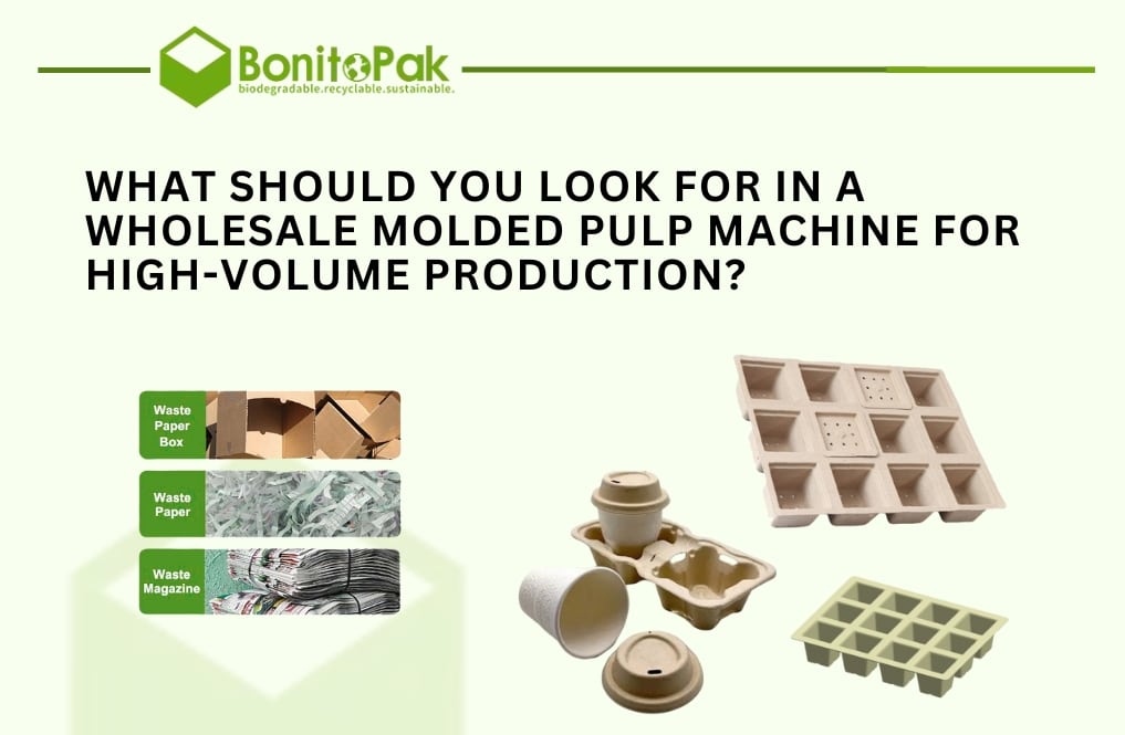 What Should in Wholesale Molded Pulp Machine for Production?