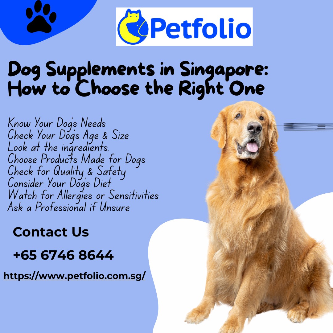 Dog Supplements in Singapore: How to Choose the Ri..