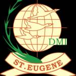 Dmi university