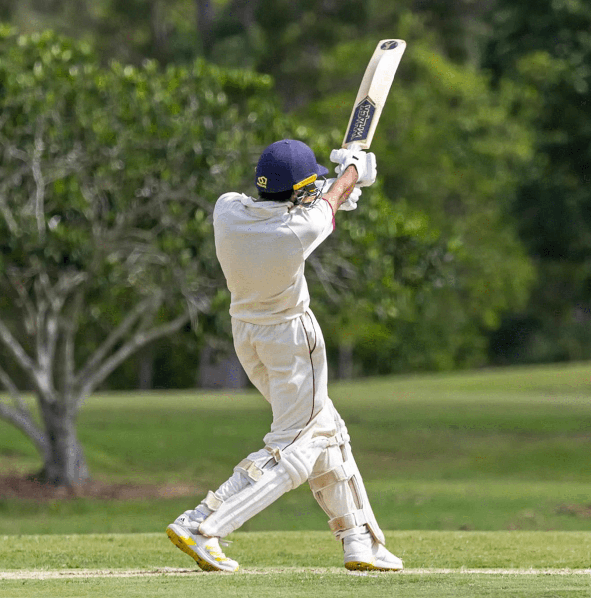 Cricket Bat Willow Types: Pros, Cons, and Buying Advice – Timeless Pages