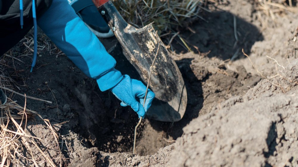 Save Big: Expert Utility Trenching Service in St Albans