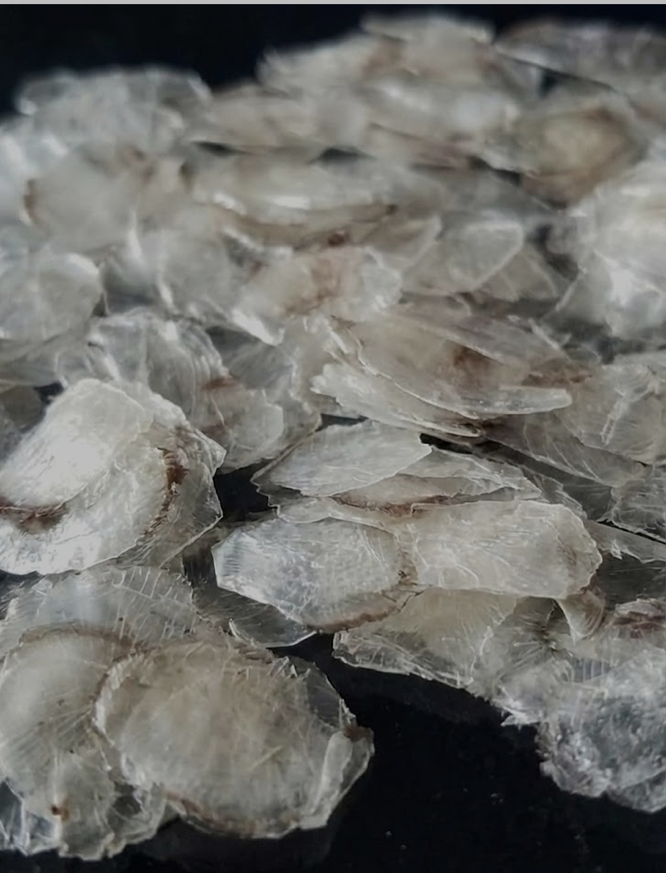 Demineralized Fish Scales | Nizona Marine Products