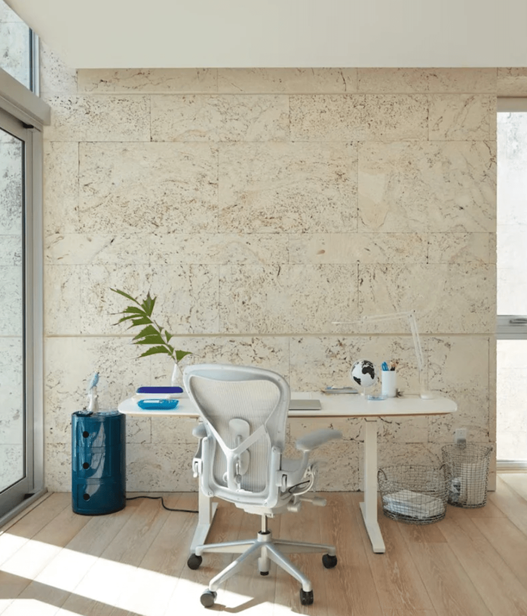 Function Meets Flair: The Ultimate Modern Office Furniture Guide – Into The Wild