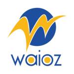 Waioz Consultancy Services