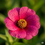 2xl Home Furniture & Home Decor