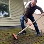 Moss Removal Roof Wilderness