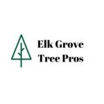 Elkgrovetreeservice