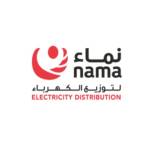 Nama Electricity Distribution Company