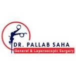 Drpallab Saha