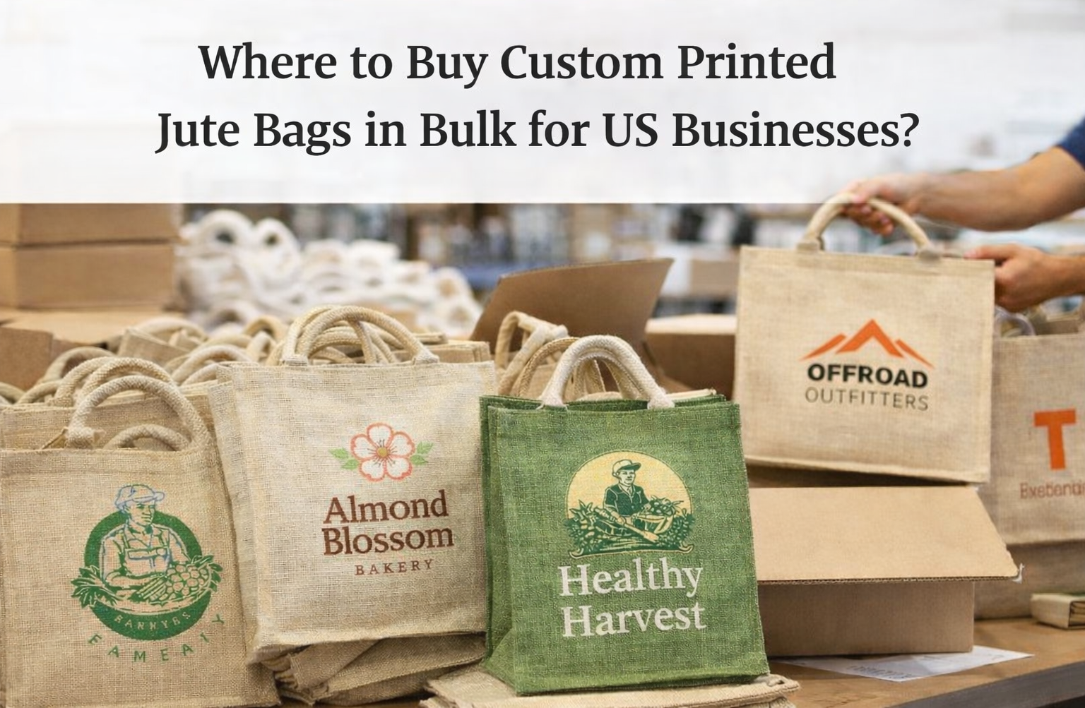 Custom Printed Jute Bags in Bulk | B2B Sourcing Guide